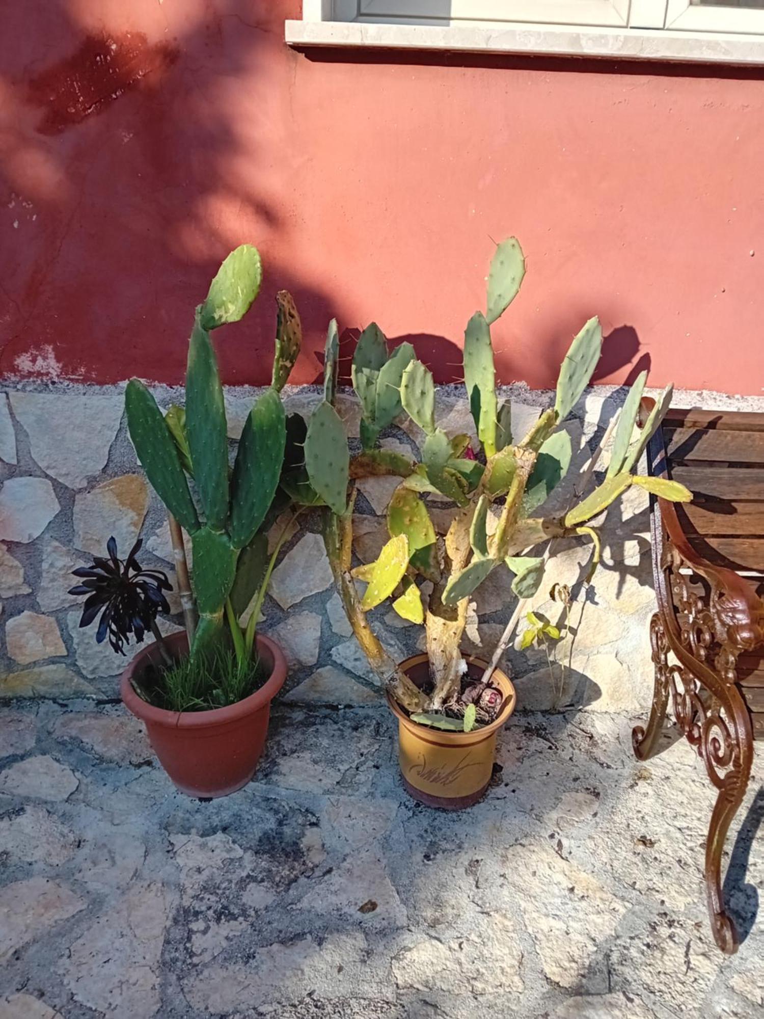 Bella Di Notte Apartment San Giorgio a Liri ภายนอก รูปภาพ