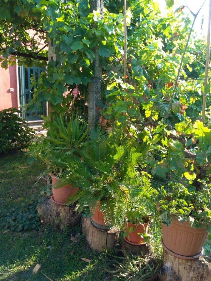 Bella Di Notte Apartment San Giorgio a Liri ภายนอก รูปภาพ