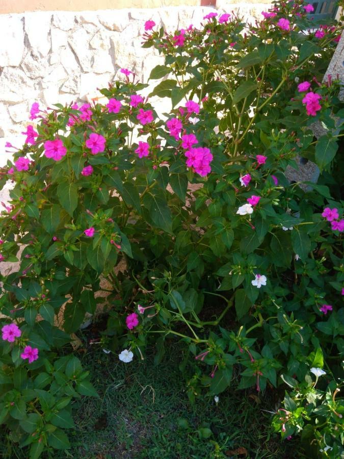 Bella Di Notte Apartment San Giorgio a Liri ภายนอก รูปภาพ