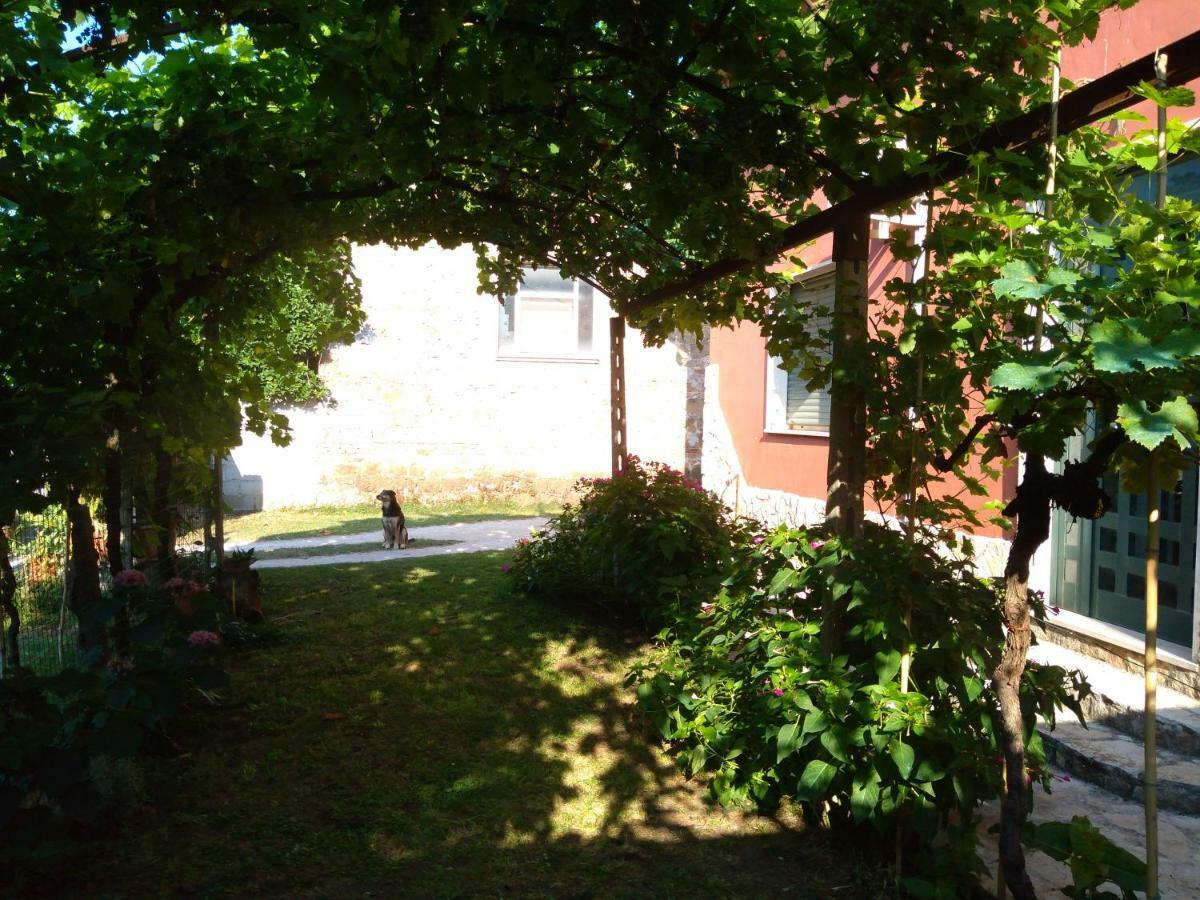 Bella Di Notte Apartment San Giorgio a Liri ภายนอก รูปภาพ